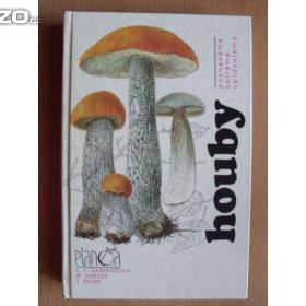 Fotka k inzerátu Lidia V. Garibovová Houby / 19353929