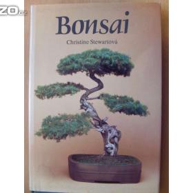 Christine Stewart Bonsai / 17299052