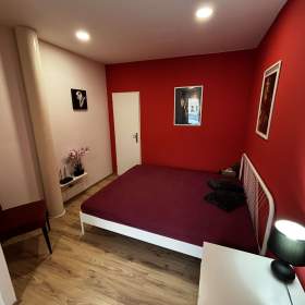 Fotka k inzerátu Denní nájem, žádné dělení, soukromí / 18809647