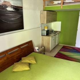 Foto inzerátu Denní nájem, žádné dělení, soukromí