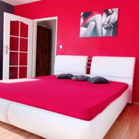 Foto inzerátu Denní nájem, žádné dělení, luxus