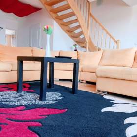 Foto inzerátu Denní nájem, žádné dělení, luxus