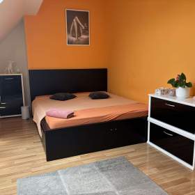 Foto inzerátu Denní nájem, žádné dělení, luxus