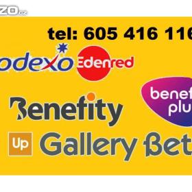 CELÁ ČR -  KOUPÍM FLEXIPASS, STRAVENKY A POUKAZY SODEXO , EDENRED, UNIŠEK+  / 17376369