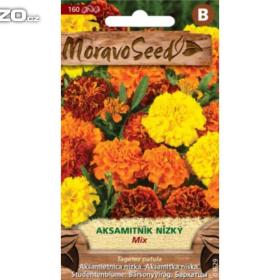 Foto inzerátu Aksamitník rozkladitý plnokvětý, směs (semena) www.levna-semena.cz