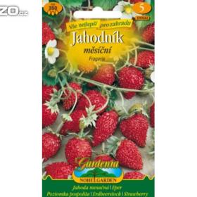 Jahodník měsíční, Fragaria (semena) levna- semena. cz / 17398936