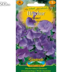 Hrachor vonný pnoucí, modrý (semena) www. levna- semena. cz / 17403209