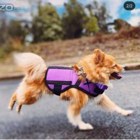 Foto inzerátu XDOG výcviková vesta pro malého pejska- fialová