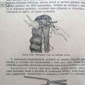 Foto inzerátu Starožitná kniha Praktická hospodyňka, oba díly