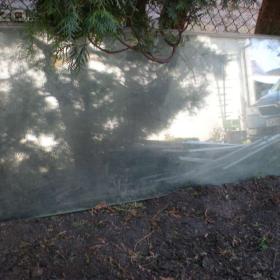 Fotka k inzerátu Skleněná tabule, tvrzené sklo 135cm x 57cm, tl. 5mm  / 17902719