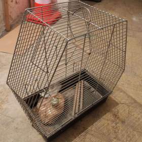 Foto inzerátu Chov. klícka