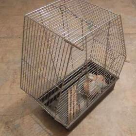 Fotka k inzerátu Chov. klícka / 14408104