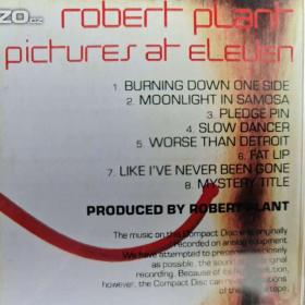 Foto inzerátu CD - ROBERT PLANT / Pictures At Eleven