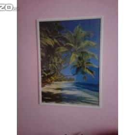 Obraz / 17738168