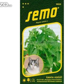 Šanta kočičí (semena) www. levna- semena. cz / 17879646