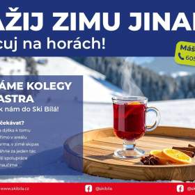 Fotka k inzerátu Hledáme kolegy do gastra / 19676736