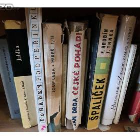 Foto inzerátu Knihy-různé