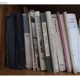 Foto inzerátu Knihy-různé