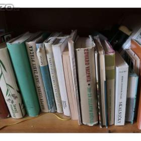 Foto inzerátu Knihy-různé