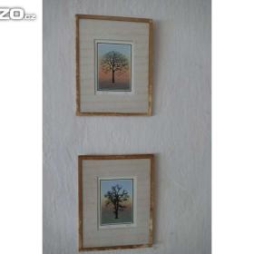 Foto inzerátu Obrazy, obrázky a koberce na stěnu