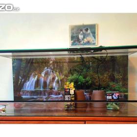 Foto inzerátu Terárium nové 80x40x40 + světla a pozadí