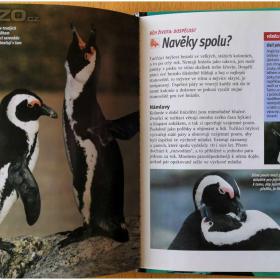 Foto inzerátu Predátoři zblízka - Natural Killers (52 DVD)