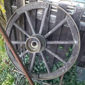 Fotka k inzerátu Loukoťové kola / 19367295