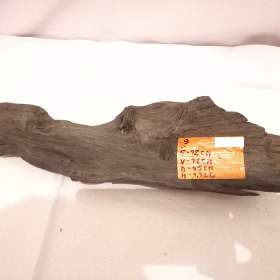 Foto inzerátu Kořen 9 do akvaria/teraria