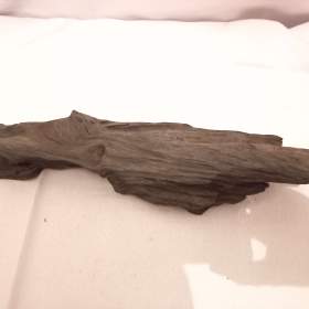 Foto inzerátu Kořen 9 do akvaria/teraria