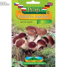 Polnička topolová, sadba -  www. rostliny- prozdravi. cz / 18131083
