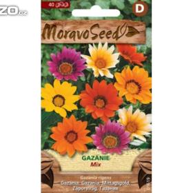 Foto inzerátu Gazánie zářivá, směs (semena) levna-semena.cz