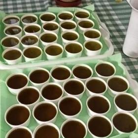 Fotka k inzerátu Konopná mastička / 18964216