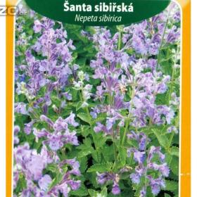 Šanta sibiřská (semena) www. levna- semena. cz / 18218204