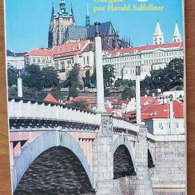 Foto inzerátu Španělština - obchodní, gramatiky, cvičení, slovníky 