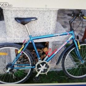 kolo / 18254846