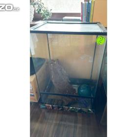 Foto inzerátu Terarium