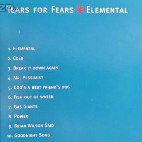 Foto inzerátu CD - TEARS FOR FEARS / Elemental
