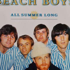 CD - THE BEACH BOYS / All Summer Long / 18278070