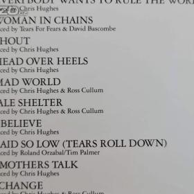 Foto inzerátu CD - TEARS FOR FEARS / Tears Roll Down