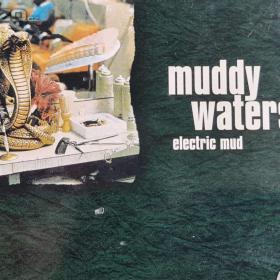Fotka k inzerátu CD -  MUDDY WATERS / Electric Mud / 18278109