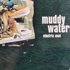 CD - MUDDY WATERS / Electric Mud / 18278109