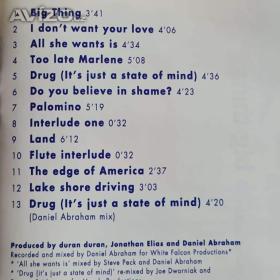 Foto inzerátu CD - DURAN DURAN / Big Thing