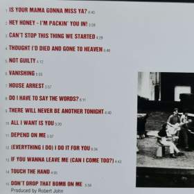 Foto inzerátu CD - BRYAN ADAMS / Waking Up The Neighbours