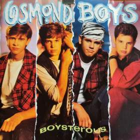 Fotka k inzerátu CD -  OSMOND BOYS / Boysterous / 18302438