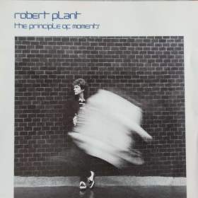 Fotka k inzerátu CD -  ROBERT PLANT / The Principle Of Moments / 18302456
