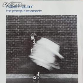 CD -  ROBERT PLANT / The Principle Of Moments / 18302456