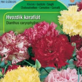 Hvozdík karafiát CHABAUD, směs (semena) www. levna- semena. cz / 18304256