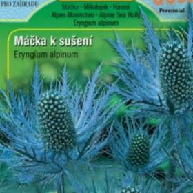 Máčka alpská, modrá (semena) www. levna- semena. cz / 18306594
