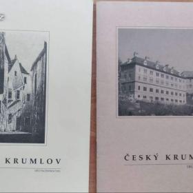 Foto inzerátu Technické a klasické slovníky česko-německé a ruské a další knihy pro němčináře