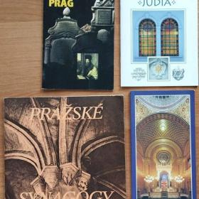 Foto inzerátu Technické a klasické slovníky česko-německé a ruské a další knihy pro němčináře